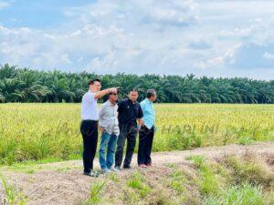 Fb img 1752261666212