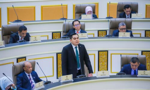 MELAKA CADANG GUBAL ENAKMEN HAIWAN BERKELIARAN, TINDAKAN LEBIH TEGAS