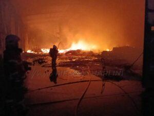 Whatsapp image 2025 07 01 at 5.53.58 am