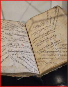 Whatsapp image 2025 07 07 at 11.54.47 am