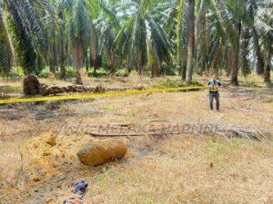 Whatsapp image 2025 07 14 at 6.27.03 pm