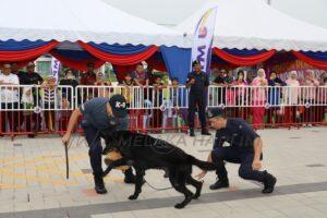 Whatsapp image 2025 07 28 at 6.30.50 pm