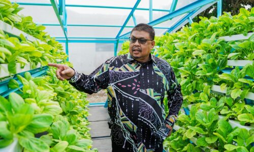 PROJEK HIDROPONIK PEMANGKIN SOSIOEKONOMI PENDUDUK KAMPUNG PULAU