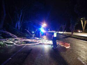 Whatsapp image 2025 08 12 at 12.00.15