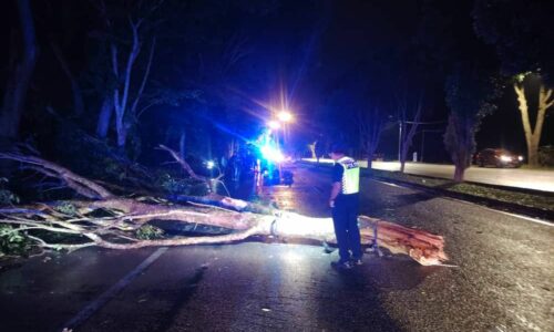 ABANG MAUT, ADIK PARAH MOTOSIKAL REMPUH POKOK TUMBANG