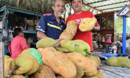 KEPUASAN BERBUDI KEPADA TANAH