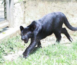 Whatsapp image 2025 08 22 at 5.37.16 pm