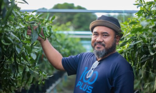 TENANG ‘BERBISIK’ DENGAN POKOK