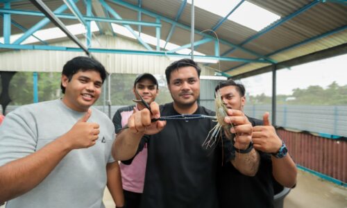 UDANG GALAH ‘LUBUK’ REZEKI ANAK MUDA
