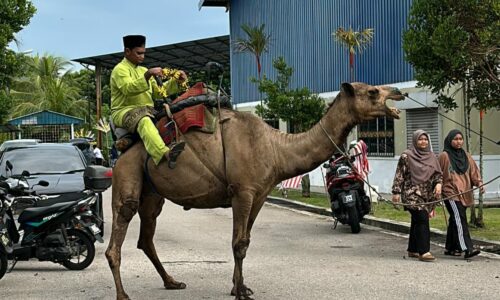 UNTA SERTAI PERARAKAN SAMBUTAN MAULIDUR RASUL SUNGAI UDANG