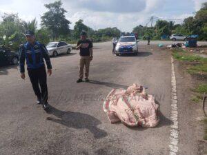 Whatsapp image 2025 09 18 at 16.06.14