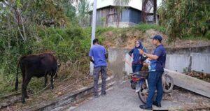 Whatsapp image 2025 09 29 at 20.43.11