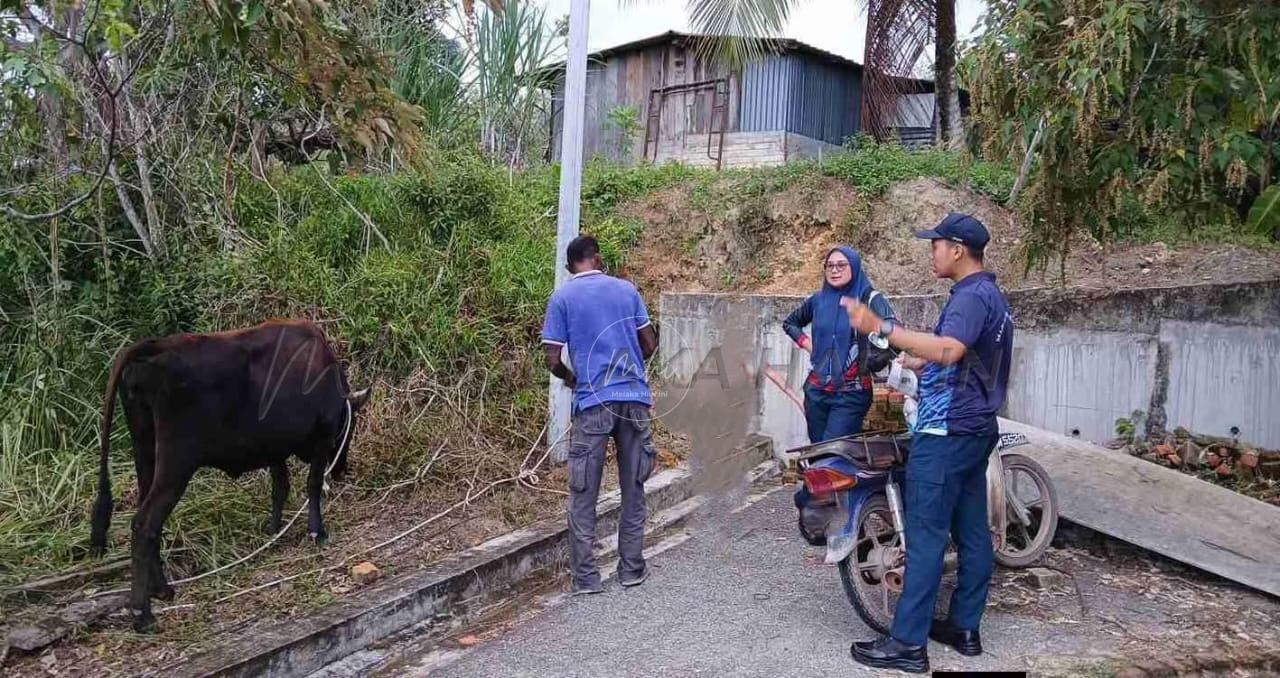 Whatsapp image 2025 09 29 at 20.43.11