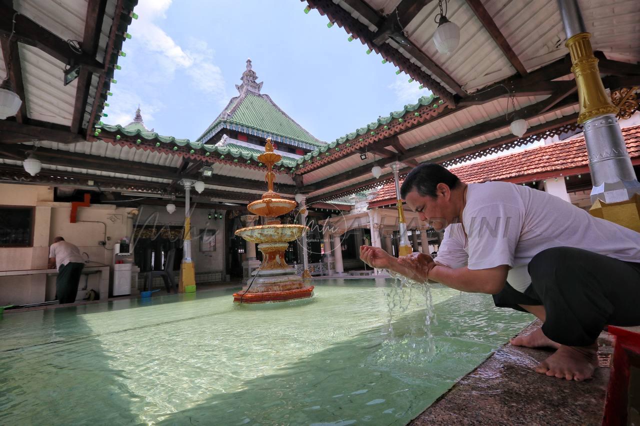 Photo 6055113935956326456 y