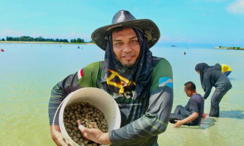 PESTA KUTIP KERANG DI PANTAI KLEBANG