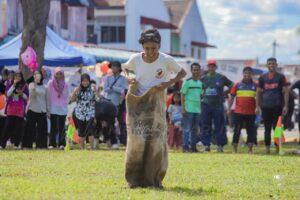 Img 20251008 031320 044