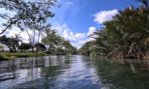 ECO CRUISE SUNGAI RAMBAI DILANCAR TAHUN DEPAN