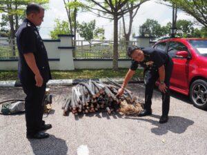 Whatsapp image 2025 10 15 at 4.04.40 pm