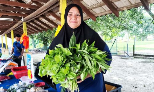 IKHLAS BERNIAGA, PASANGAN SUAMI ISTERI JUAL SAYUR RM1
