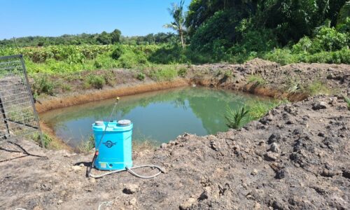 TRAGEDI SIRAM POKOK, REMAJA DITEMUI LEMAS DALAM KOLAM