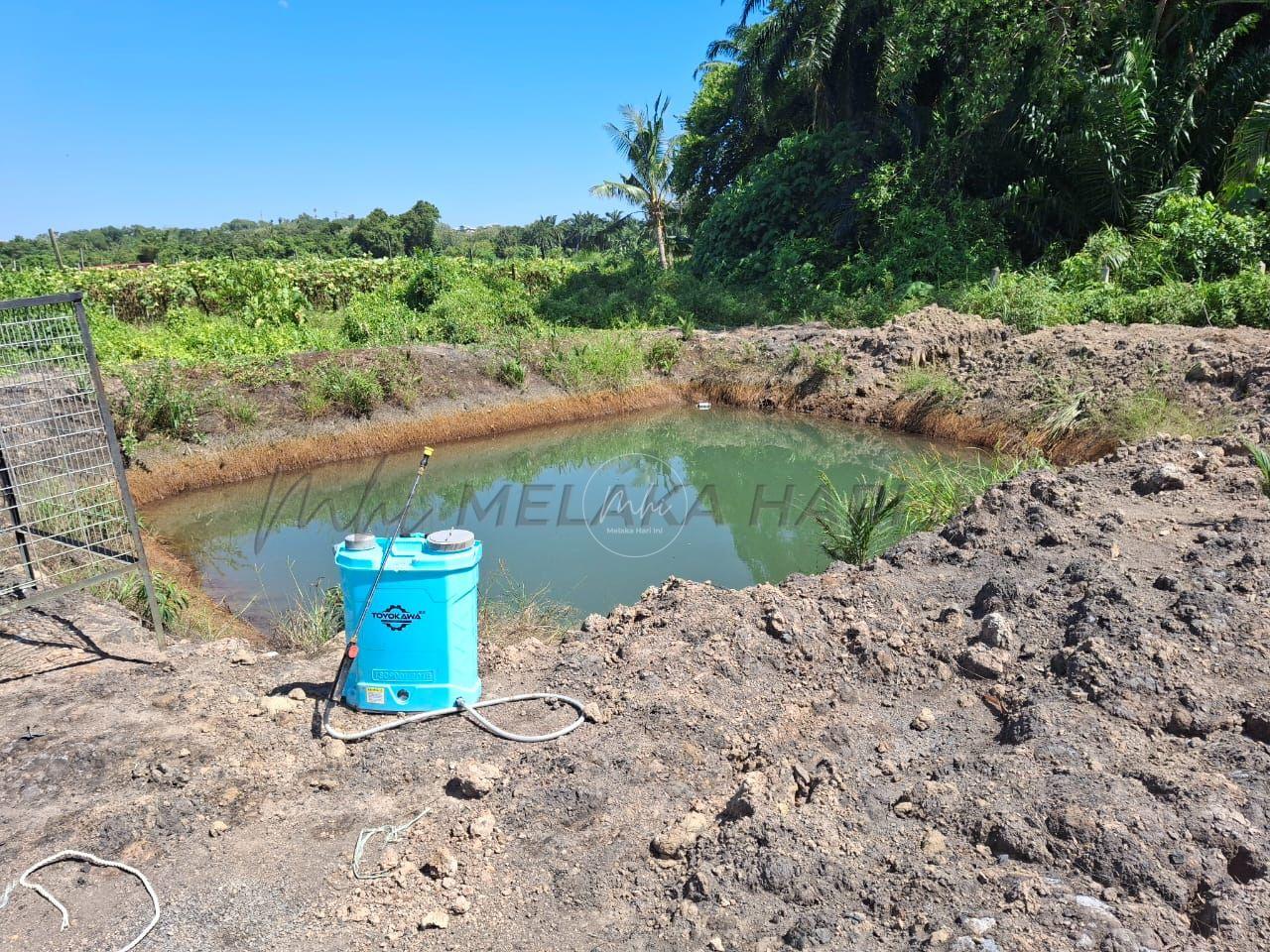 Whatsapp image 2025 10 31 at 12.08.48