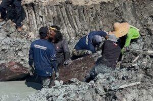 Whatsapp image 2025 10 31 at 13.43.05