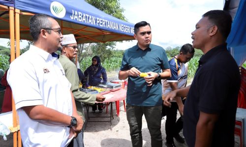 MELAKA ‘HIDUPKAN’ TANAH TERBIAR JADI LADANG PERTANIAN
