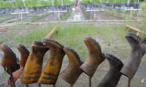 FAMA MELAKA AKTIFKAN BILIK GERAKAN BENCANA