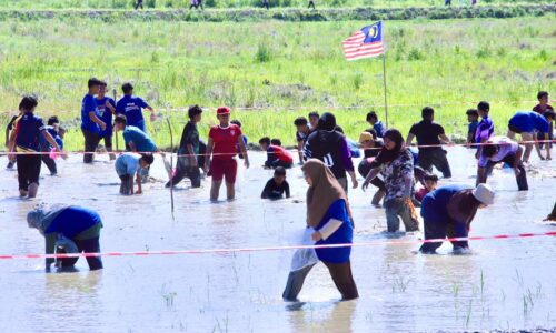WRUR: EKO SAWAH KAMPUNG BERINGIN JADI IDENTITI BAHARU DURIAN TUNGGAL