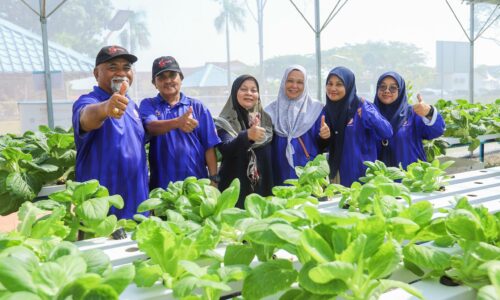 WRUR: SAYUR SEGAR, MURAH DARI KEBUN KOMUNITI TAMAN ANGKASA NURI