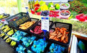 Whatsapp image 2025 11 04 at 1.14.02 pm