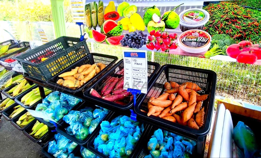 Whatsapp image 2025 11 04 at 1.14.02 pm