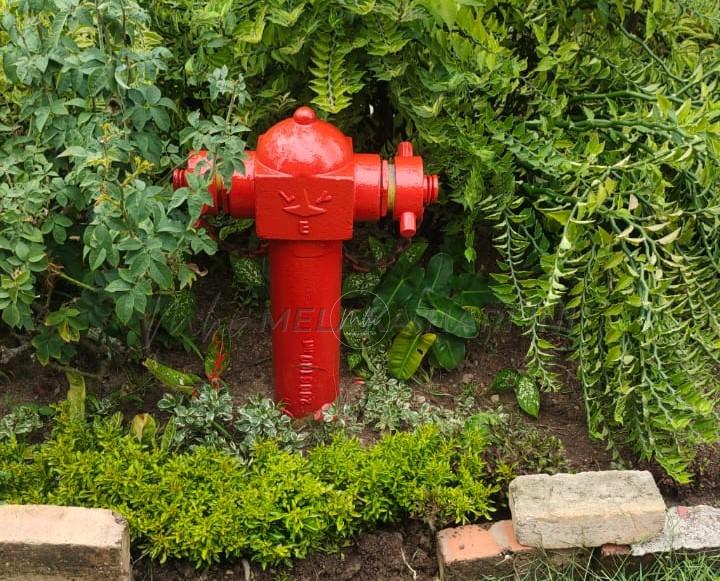 Whatsapp image 2025 11 11 at 4.02.37 pm