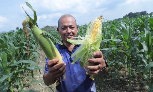 BAJET NEGERI MELAKA 2026: PETANI MAHU SOKONGAN MEKANISASI, DANA DAN TAPAK BAHARU