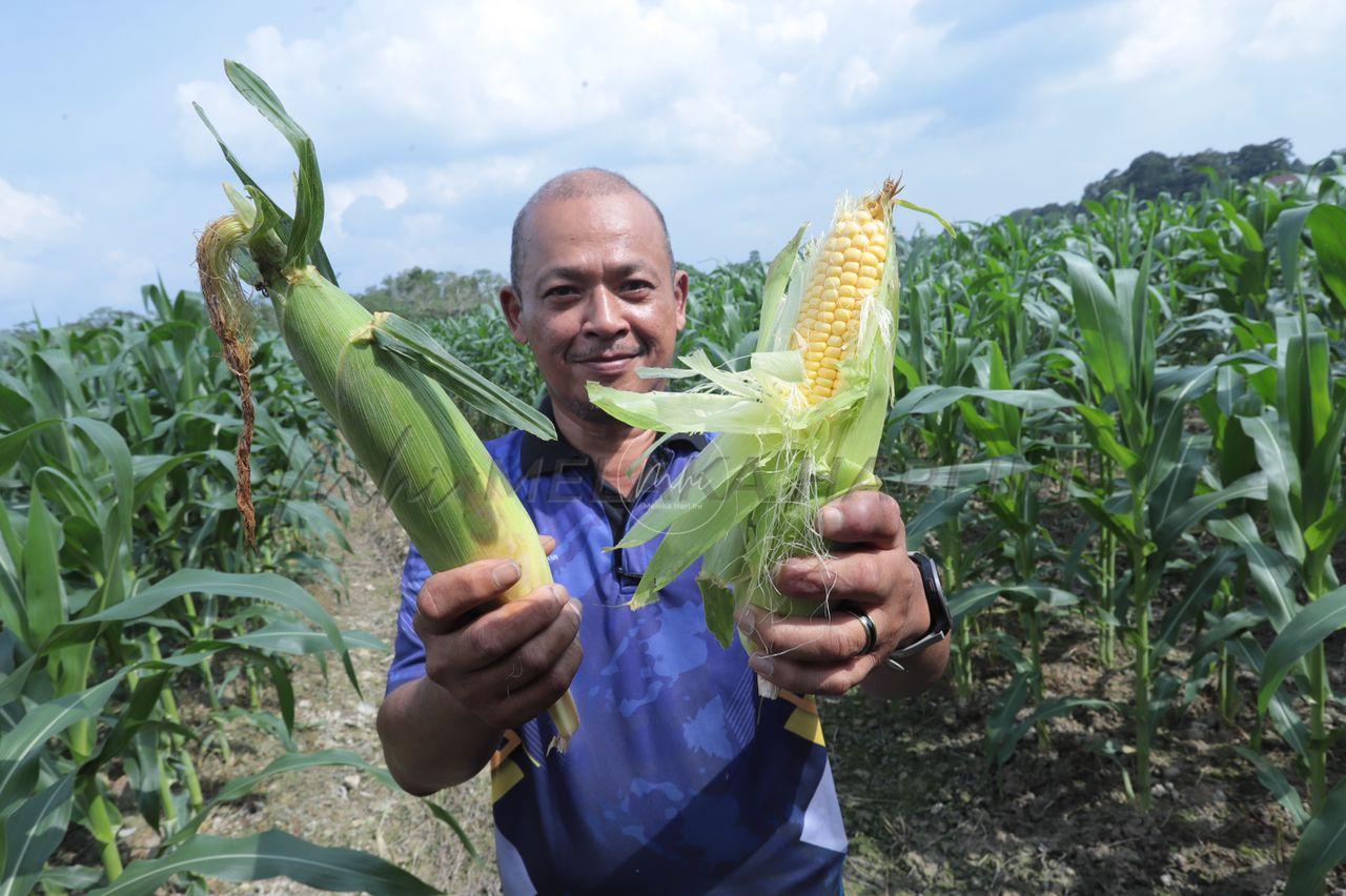 Whatsapp image 2025 11 21 at 3.34.47 pm