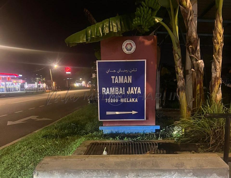 Whatsapp image 2025 11 24 at 20.14.33