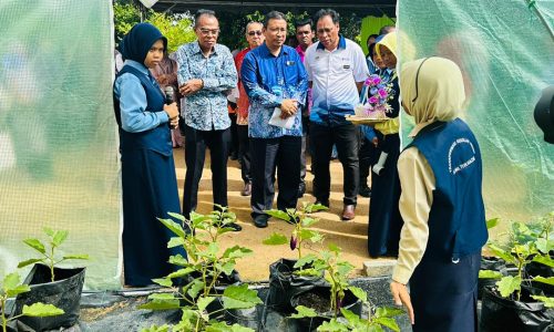 JAS SALUR RM100,000 HIJAUKAN SK KAMPUNG TUN RAZAK