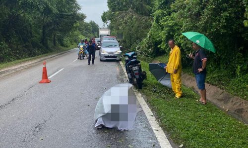 LELAKI MAUT MOTOSIKAL REMPUH POKOK TUMBANG DI SELANDAR
