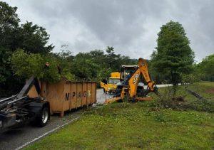 Whatsapp image 2025 11 28 at 3.58.07 pm