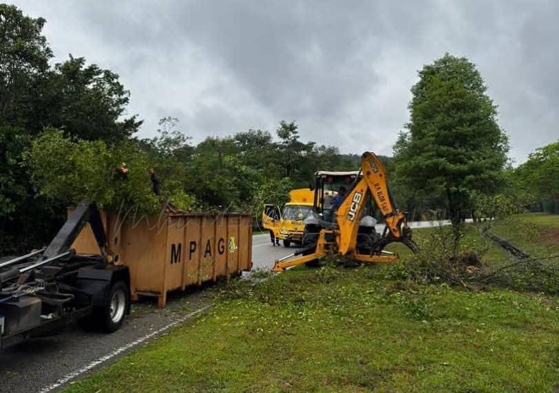 Whatsapp image 2025 11 28 at 3.58.07 pm