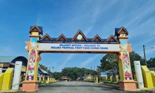 MELAKA TROPICAL FRUIT HARM ‘HIDUP SEMULA’ TAHUN DEPAN