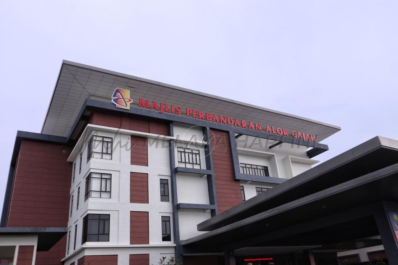 6255590914705699453 (1)