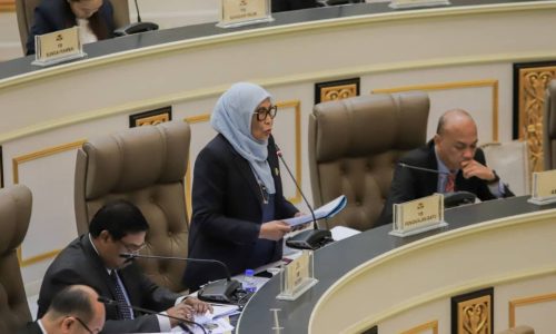 PEMBANGUNAN USAHAWAN OKU DIBERI PERHATIAN