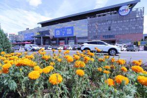 Img 20251226 214315 570