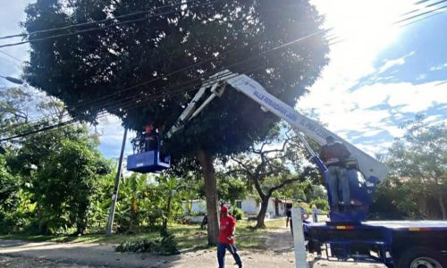 GOTONG-ROYONG MPJ BERSAMA KOMUNITI LESTARIKAN DAERAH JASIN