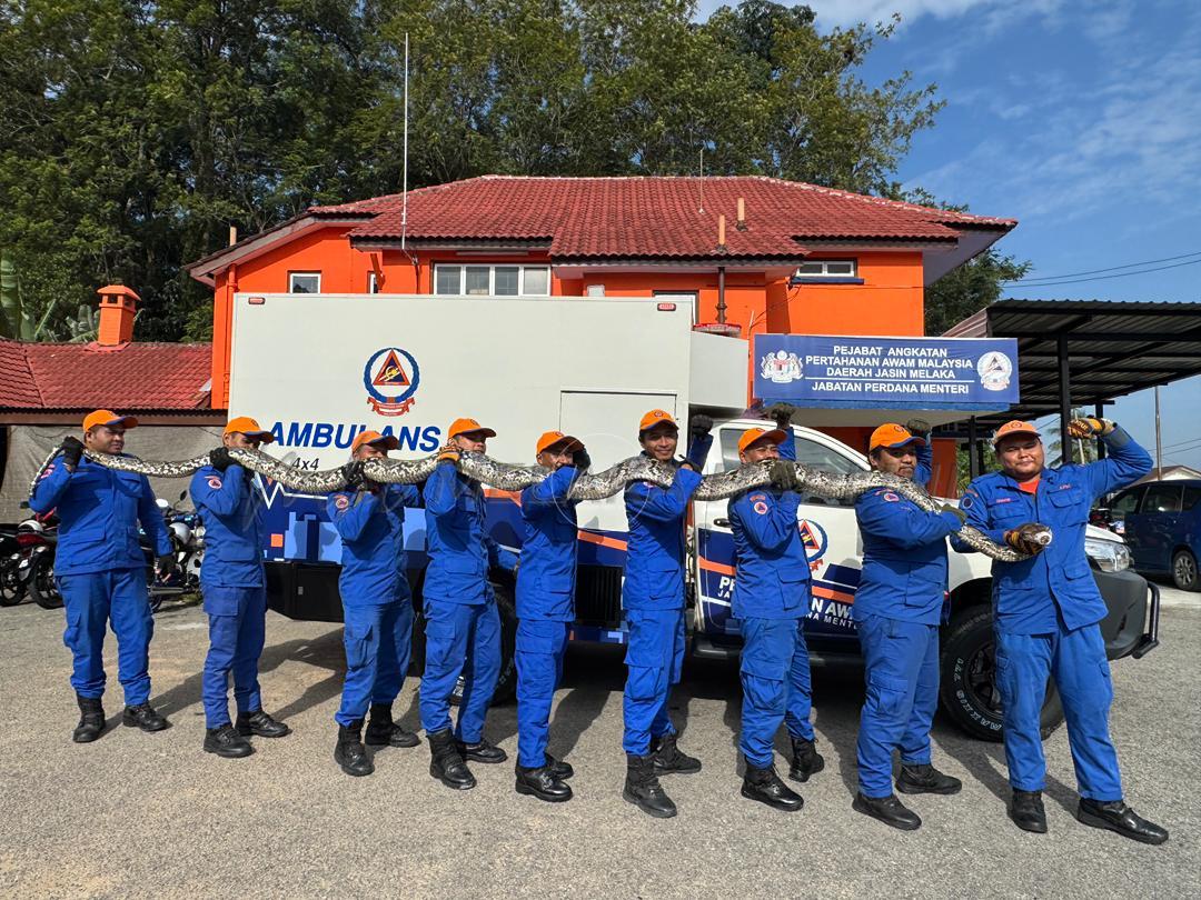 Whatsapp image 2025 12 12 at 10.39.25