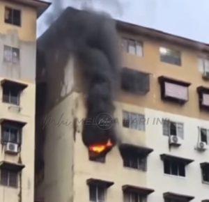 Whatsapp image 2025 12 26 at 2.11.10 pm