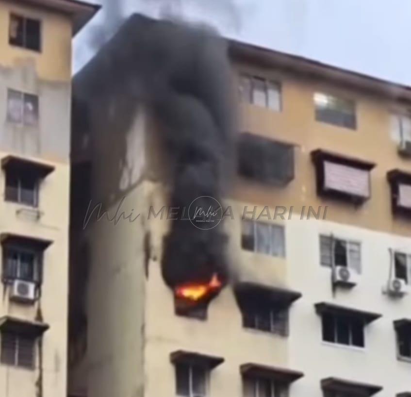 Whatsapp image 2025 12 26 at 2.11.10 pm