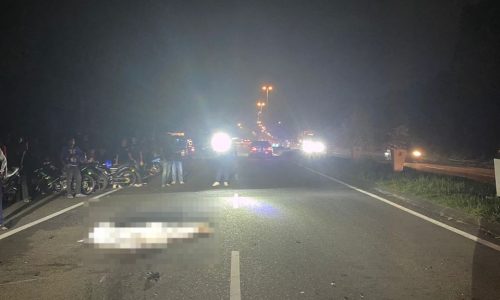 PEMUDA MAUT, RAKAN CEDERA DUA MOTOSIKAL TERLANGGAR LEMBU