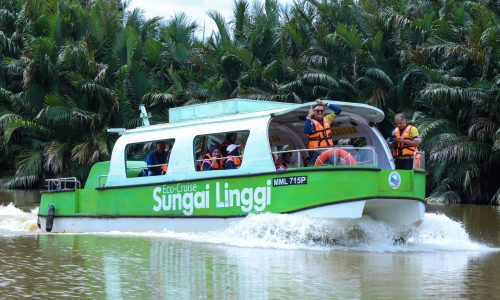ECO CRUISE SUNGAI LINGGI REKOD LEBIH 3,000 PENGUNJUNG